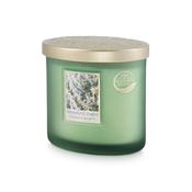 Ellipse Twin Wick - Shimmering Forest image
