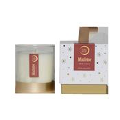 Torc - Christmas Collection Candle - Mistletoe image