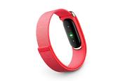 Google Fitbit Air | Berry Champagne Gold image