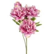 Flora Peony Bush - Dark Pink 42cm
