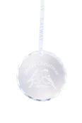 Robin Couple Hanging Round Ornament image