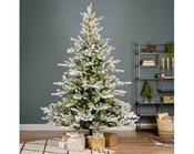 Grandis Fir Snowy Prelit Christmas Tree 7ft