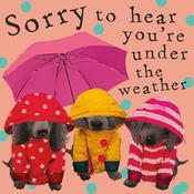 HG Fancy – Sorry To Hear You're Under The Weather Cardr image