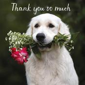 HG Fancy – Thank You So Much Card image