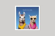Icon (Coola Coola) – You're So Cool Llamas Card