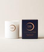 TORC Jasmine &amp; Dark Amber Candle