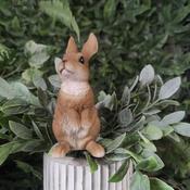 Lookout Rabbit Plant Pal - 10.8cm image
