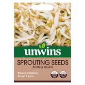 Sprouting Seeds Mung Bean image