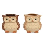Planter Stoneware Owl Fully Glazed 2 Assorted L.10.7cm x H.10.1cm image
