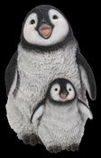 Playful Mother &amp; Baby Penguins B image