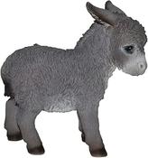 Real Life Baby Donkey D image