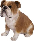 Real Life Bulldog D image