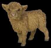 Real Life Highland Calf D image