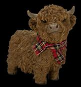 Real Life Highland Cattle AW Mini F image