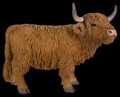 Real Life Highland Cattle D image