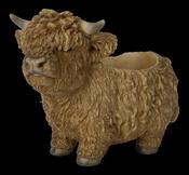 Real Life Highland Cattle Planter – D image