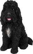 Real Life Sitting Black Cockapoo D image