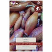 Shallot ‘Griselle’ Bulbs image