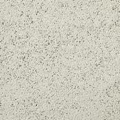 Silver Granite Paving Flag