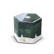 Tin Candle - Shimmering Forest image