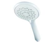 Triton 8000 Series Shower Head image