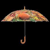 Umbrella - Autumn