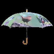 Umbrella - Birds