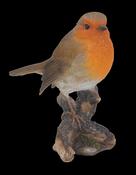 WBC Robin F image