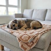 Wiggle &amp; Wander - Blanket - Pink 100x70cm image