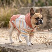 Wiggle &amp; Wander - Dog Hoodie - Pink image