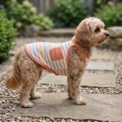 Wiggle &amp; Wander - Dog Vest - Pink image