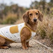 Wiggle &amp; Wander - Dog Vest - Yellow image