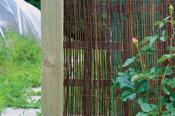 Willow Screening 4m x 2m