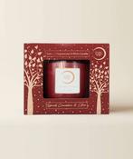 Torc Candles - Cinnamon Spice 4 Wick Luxury LARGE image