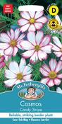 Cosmos Candy Stripe image