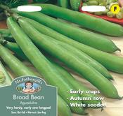 Broad Bean Aguadulce image