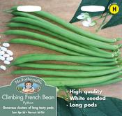 Climbing French Bean Python image