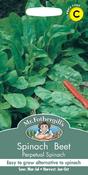Spinach Beet Perpetual Spinach