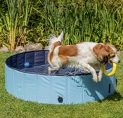 Dog Pool | Swimming Pool for Pets | Large