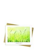 Meadow Greetings Card image