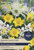 Taylors Scented Collection image