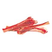 Pig Fibula Bone