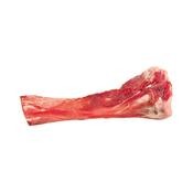 Pig Tibia Bone