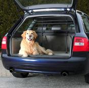 Car Guard for dogs 85-140cm