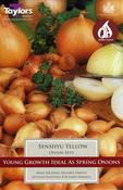 Senshyu Yellow Onion (14–21 mm) – Pre-Pack of 50 Bulbs image