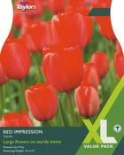 Tulip ‘Red Impression’ – XL Pack of 15 Bulbs image