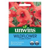 Wildflower Corn Poppy