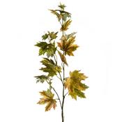 Maple Leaf Branch image