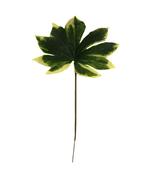 Artificial Variegated Aralia Leaf 61cm image