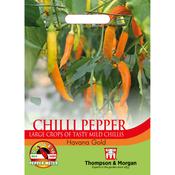 Chilli Pepper (Havana Gold)